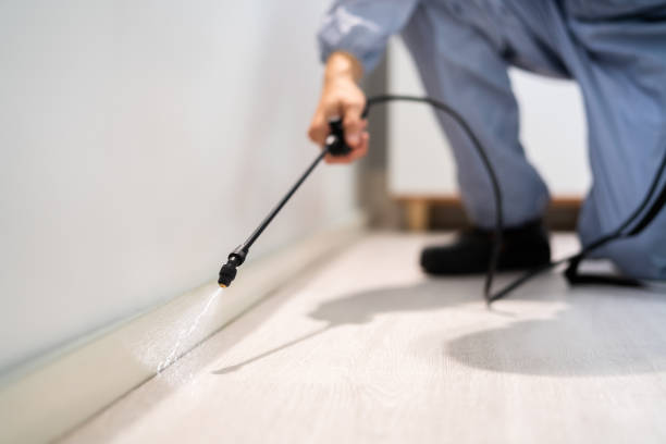 Professional exterminator conducting IPM assessment in Cedar Heights